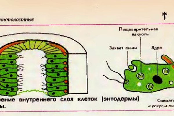 Ссылка блэкспрут для тор