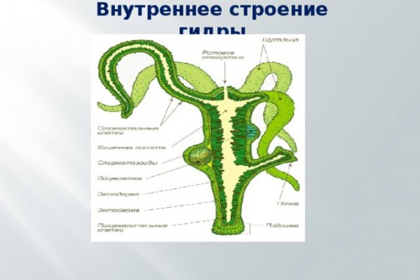 Интернет магазин блэкспрут как зайти в телефоне