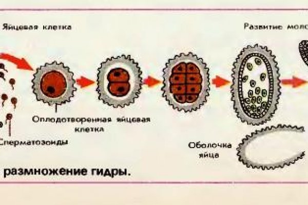 Адрес омг в сети тор